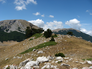 Trekking – Monte Pollino “La dimora degli Dei”