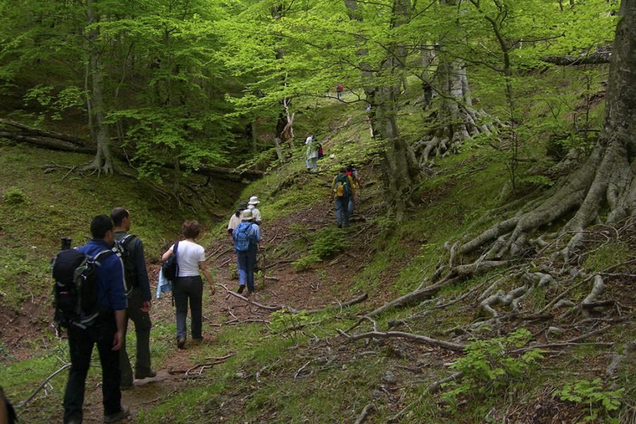 Trekking – Monte Pollino “La dimora degli Dei”